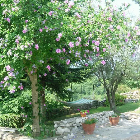 Anthemia Hotel Naousa (Imathia)