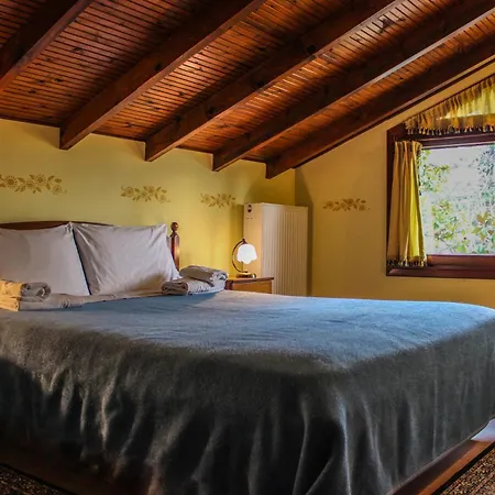 Hotel Anthemia 2*